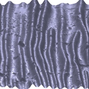 Wrinkled liquid crystal elastomer surface