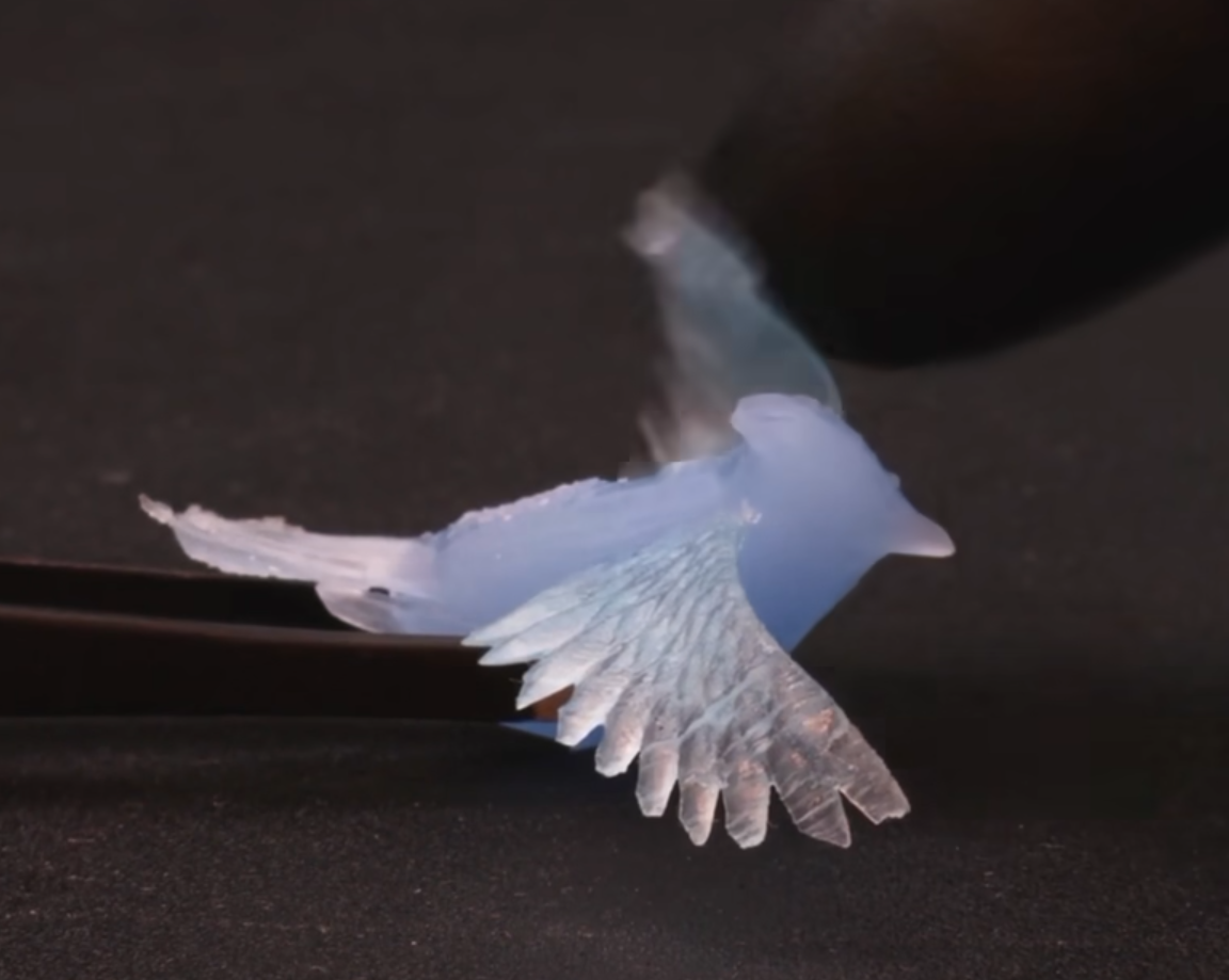 3D-printed thiol-ene photopolymer bird