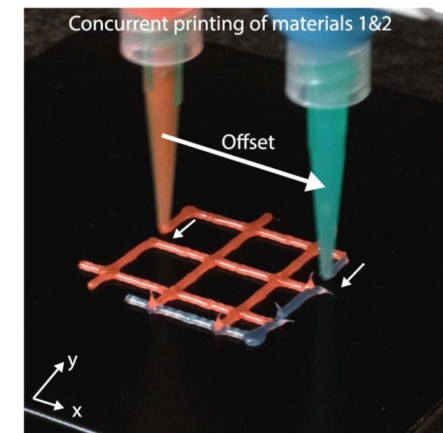 Concurrent two-nozzle printing of a multimaterial lattice